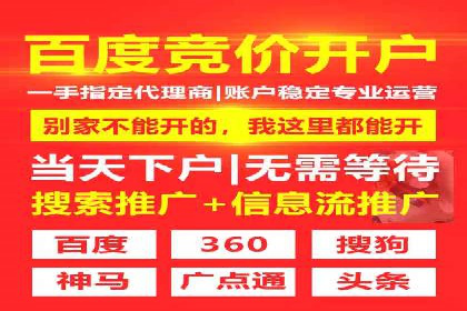 SEM推广案例：从无到有的转变